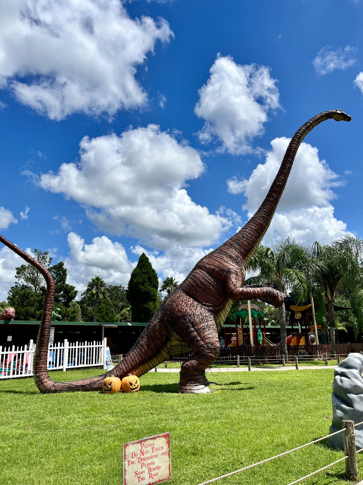 dinosaur outside with pumpkins