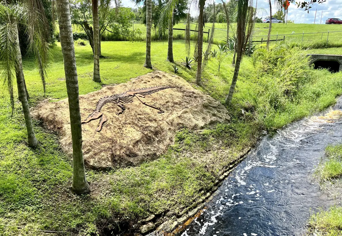 fossils next to flowing river